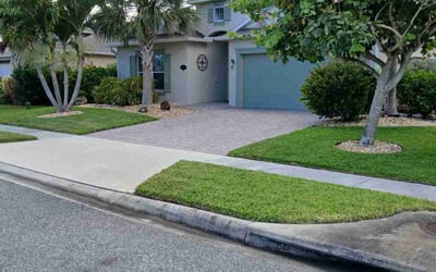 Photo of Nichelle O.'s yard after getting lawn care in Detroit, MI
