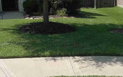 Photo of Wyatt J.'s yard after getting lawn care in Fort Smith, AR