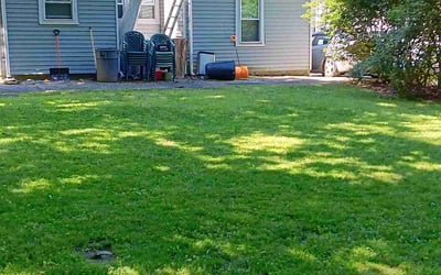 Photo of Robert S.'s yard after getting lawn care in Canton, MA