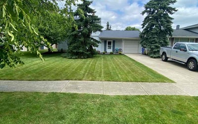 Photo of Lindsey G.'s yard after getting lawn care in Port Charlotte, FL