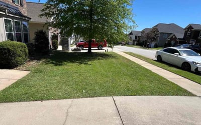 Photo of Christian A.'s yard after getting lawn care in Bowie, MD
