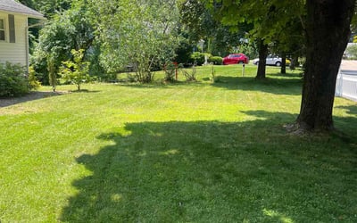 Photo of Vishal B.'s yard after getting lawn care in Sharon, MA