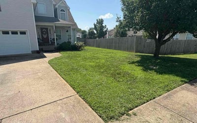 Photo of Jennifer W.'s yard after getting lawn care in Clovis, CA
