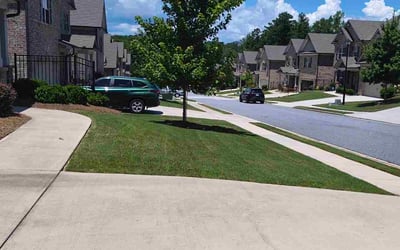 Photo of Deryk D.'s yard after getting lawn care in Mission, TX