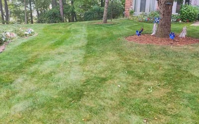 Photo of Morgan K.'s yard after getting lawn care in Algonac, MI