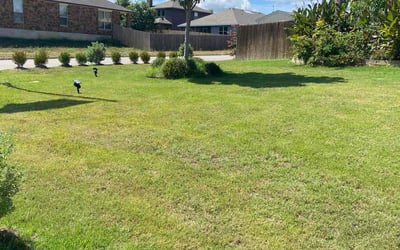 Photo of Brianna W.'s yard after getting lawn care in Copperas Cove, TX