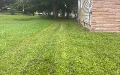 Photo of Ben A.'s yard after getting lawn care in Groton, CT