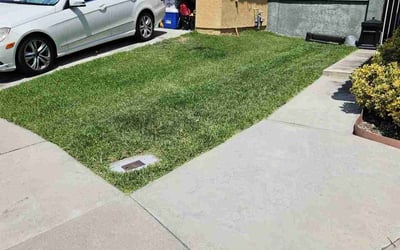Photo of Kristina M.'s yard after getting lawn care in Rancho Cucamonga, CA