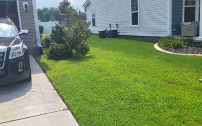 Photo of Amelio C.'s yard after getting lawn care in Suffolk, VA