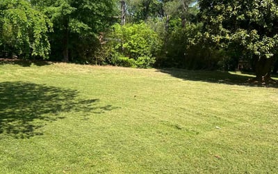 Photo of Rose P.'s yard after getting lawn care in Canton, NC