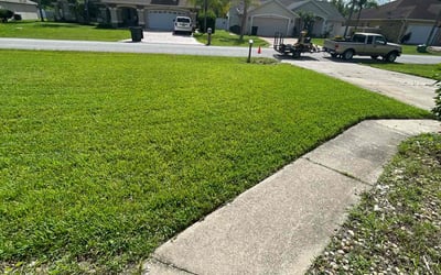 Photo of Charles E.'s yard after getting lawn care in Palm Coast, FL