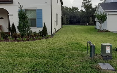 Photo of Susan S.'s yard after getting lawn care in Ridgewood, NY