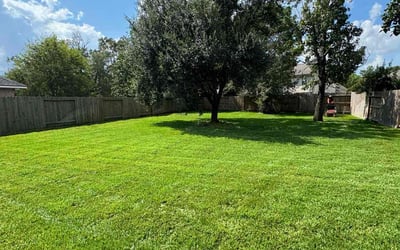 Photo of Tania B.'s yard after getting lawn care in Cleveland, TX