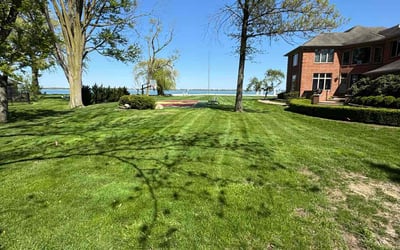 Photo of Jayson W.'s yard after getting lawn care in Allen Park, MI