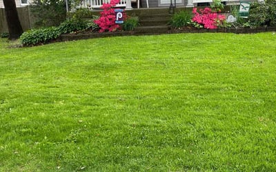 Photo of Sandra F.'s yard after getting lawn care in Hatboro, PA