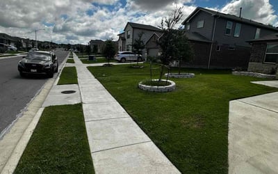 Photo of Shannon P.'s yard after getting lawn care in Green Bay, WI