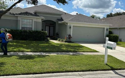 Photo of Marvin H.'s yard after getting lawn care in Wesley Chapel, FL