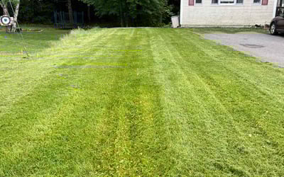 Photo of Melissa H.'s yard after getting lawn care in Derry, NH