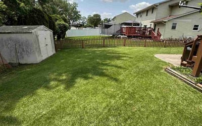 Photo of Mike S.'s yard after getting lawn care in Lakewood, OH