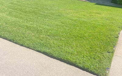 Photo of Sharon B.'s yard after getting lawn care in Methuen, MA