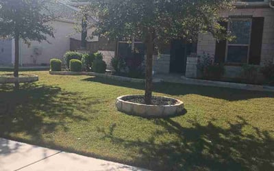 Photo of Joshua M.'s yard after getting lawn care in Cerritos, CA
