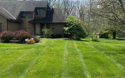 Photo of Missy B.'s yard after getting lawn care in Dayton, KY
