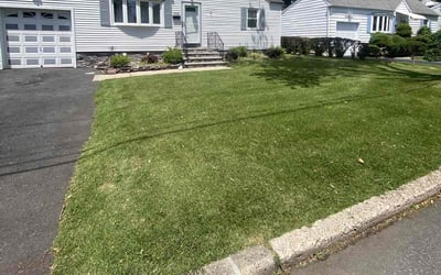Photo of David W.'s yard after getting lawn care in Linden, NJ