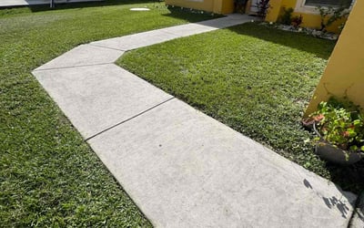 Photo of Tina H.'s yard after getting lawn care in Covina, CA