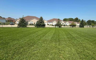 Photo of James H.'s yard after getting lawn care in Urbana, IL