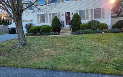 Photo of Chris B.'s yard after getting lawn care in Hudson, MA