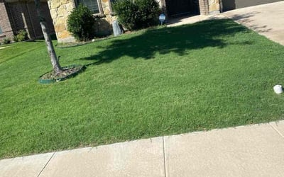 Photo of Brian C.'s yard after getting lawn care in Buford, GA