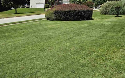 Photo of Micah T.'s yard after getting lawn care in East Providence, RI