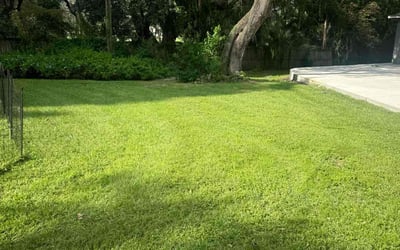 Photo of Danielle W.'s yard after getting lawn care in Daytona Beach, FL