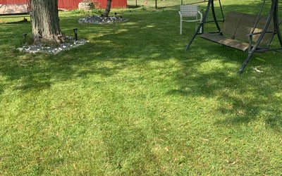 Photo of Amanda S.'s yard after getting lawn care in Cheektowaga, NY