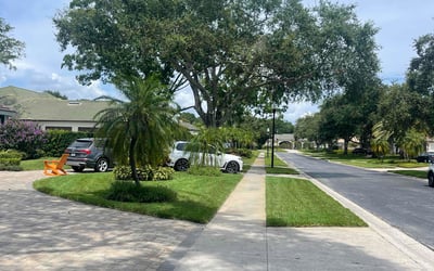 Photo of Jennifer M.'s yard after getting lawn care in Shreveport, LA