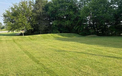 Photo of Leaza S.'s yard after getting lawn care in Fishers, IN