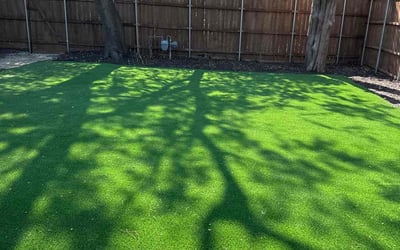 Photo of Lisa P.'s yard after getting lawn care in Independence, MO