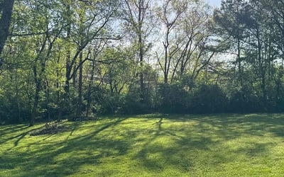 Photo of Marstine N.'s yard after getting lawn care in Hermitage, TN