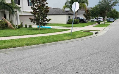 Photo of Valerie B.'s yard after getting lawn care in Hampton, VA