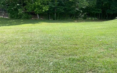 Photo of Allen P.'s yard after getting lawn care in Bonney Lake, WA