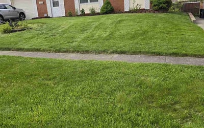 Photo of Sulachonna G.'s yard after getting lawn care in Hatfield, PA