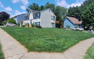 Photo of James S.'s yard after getting lawn care in Hampstead, MD