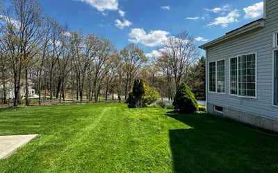 Photo of Min. M.'s yard after getting lawn care in Ambridge, PA