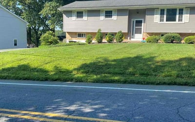 Photo of Doug D.'s yard after getting lawn care in Douglassville, PA