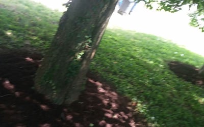 Photo of James R.'s yard after getting lawn care in North Olmsted, OH