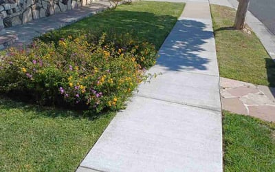 Photo of Novella F.'s yard after getting lawn care in Temple City, CA
