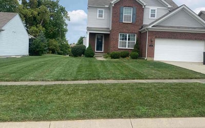 Photo of Laura K.'s yard after getting lawn care in Oxford, OH