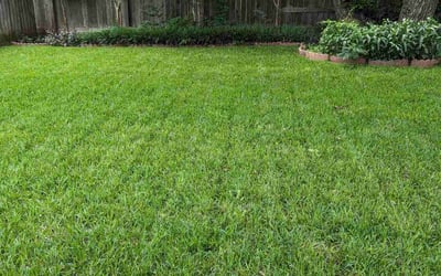 Photo of Hunter L.'s yard after getting lawn care in Wimberley, TX