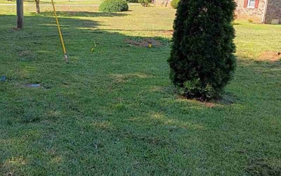 Photo of Anthony R.'s yard after getting lawn care in Mount Clemens, MI
