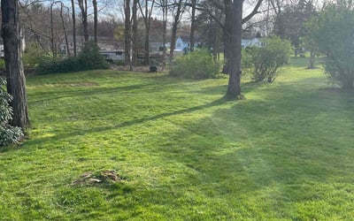 Photo of Jim E.'s yard after getting lawn care in Farmington, CT